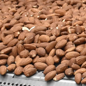 roasted almonds.jpg